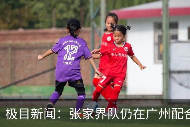 极目新闻：张家界队仍在广州配合调查，警方和多个主管部门已介入